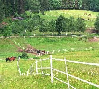 Große Pferdekoppeln auf dem Landgut Dreiburgenland